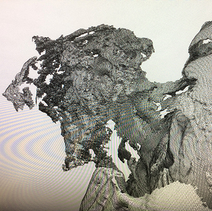 Interrupted 3D scan by artist Paul Coombs